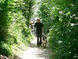 hundeschule-18