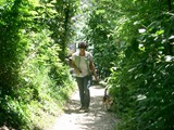 hundeschule-19
