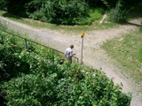 hundeschule-22