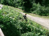 hundeschule-23