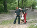 hundeschule-28
