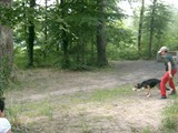 hundeschule-29