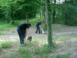 hundeschule-30