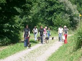 hundeschule-33