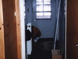 HAUS-003