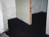 HAUS-018