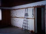 HAUS-030