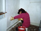 HAUS-056