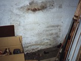 HAUS-095