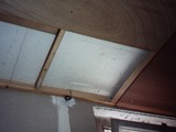 HAUS-107