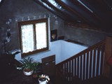 HAUS-118