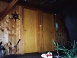 HAUS-119