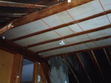 HAUS-120
