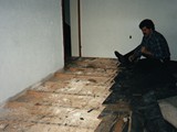HAUS-159