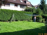 Thuja07
